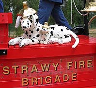 Fire house dalmations