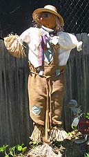 traditional scarecrow