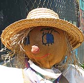 scarecrow face