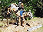 2001 Kurrajong Scarecrow Display